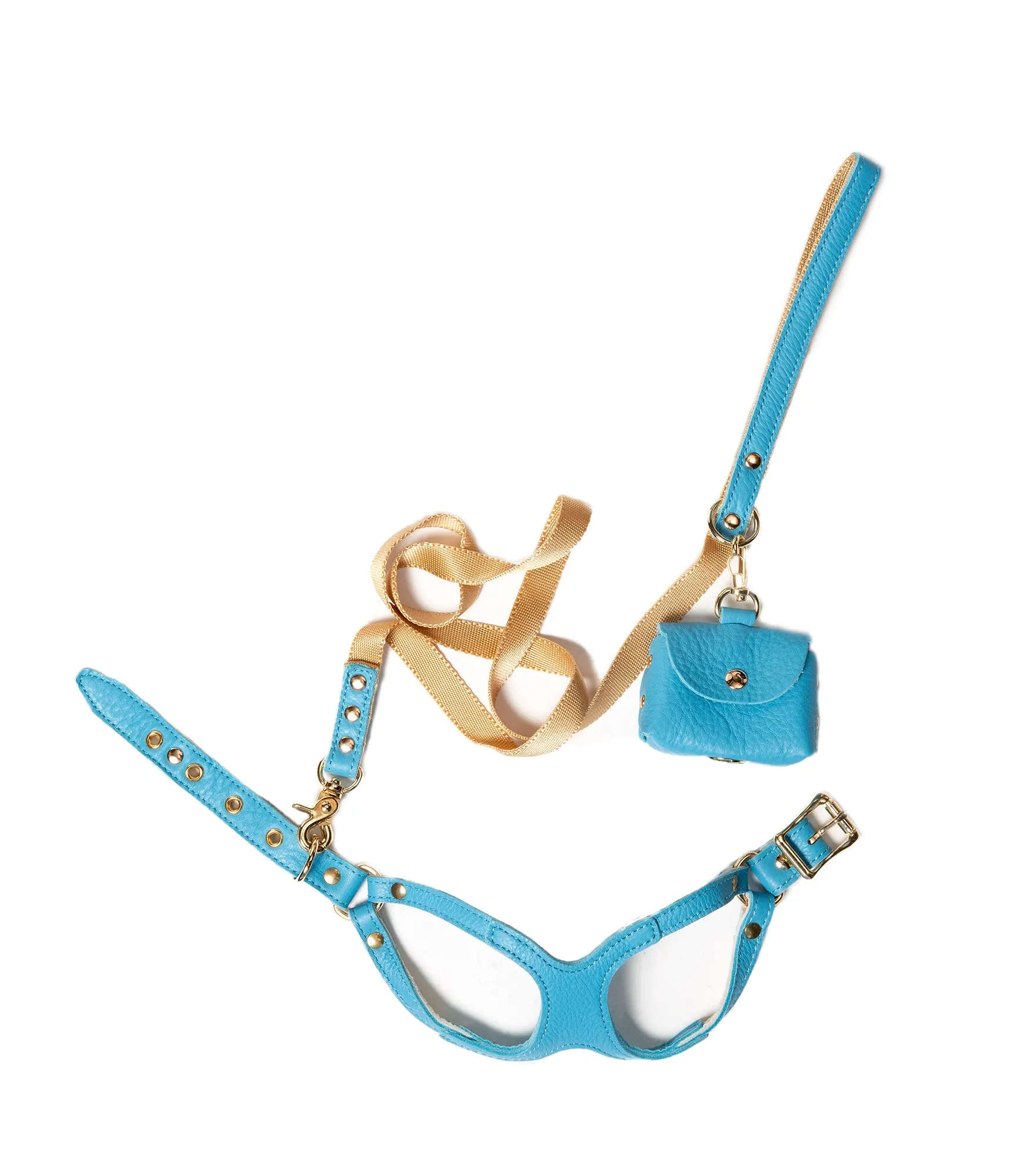 Canine Styles Leather Step-in Harness & Nylon Lead sets - 9 Color Options