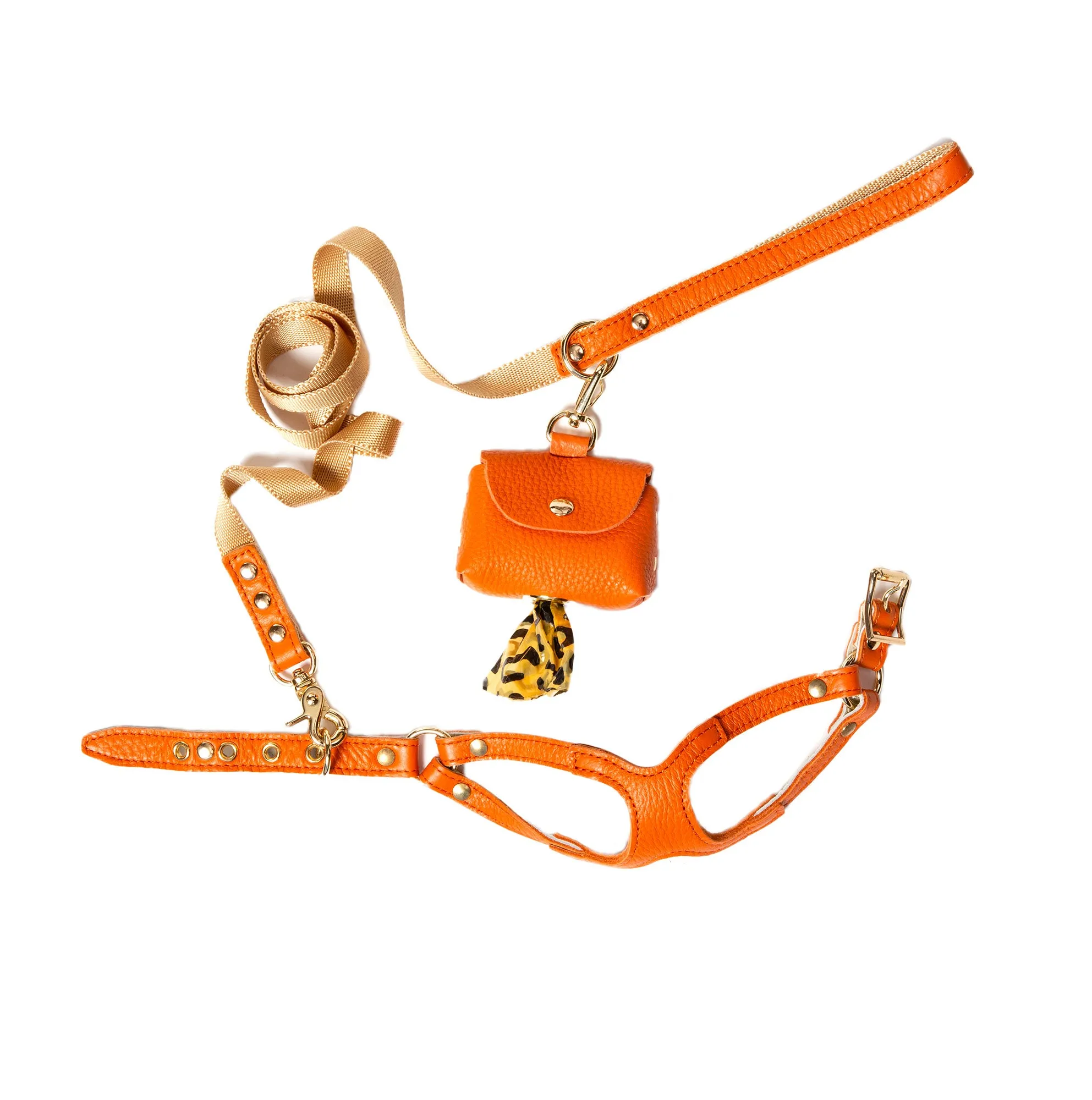 Canine Styles Leather Step-in Harness & Nylon Lead sets - 9 Color Options