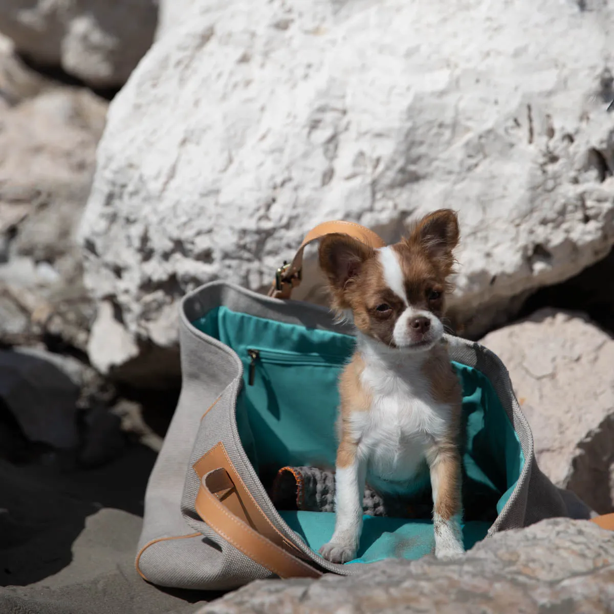 Margaret Dog Bag