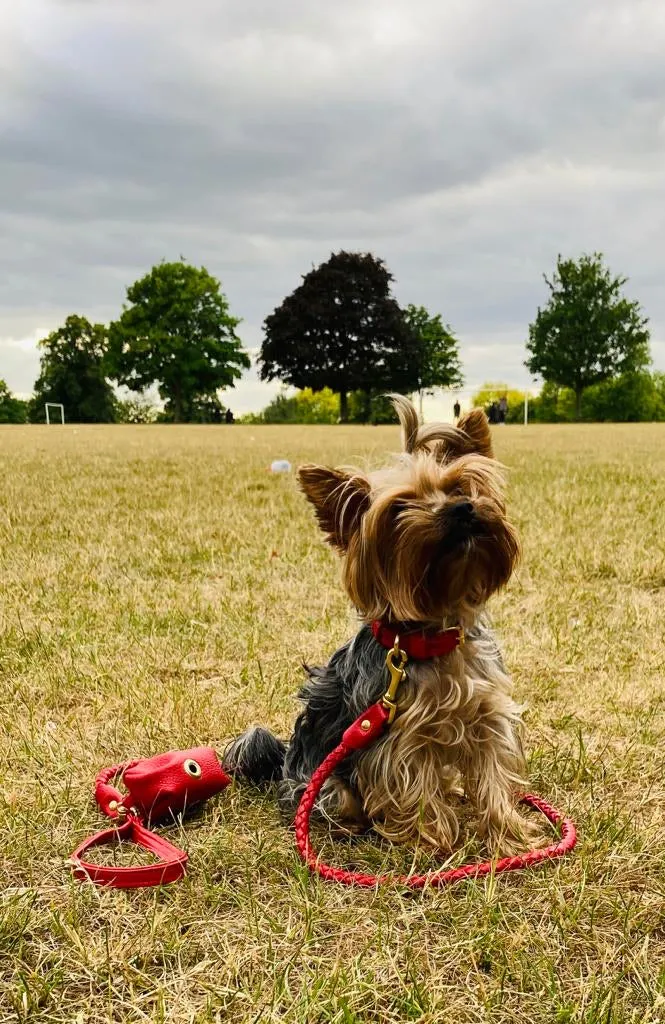 Willow Walks leather collar in red